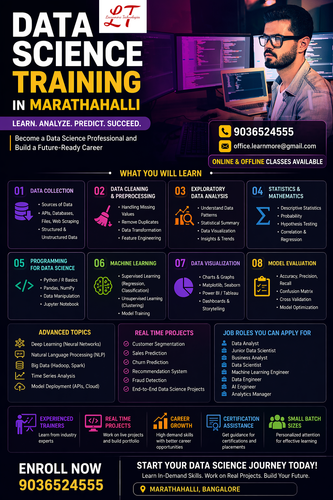 Data science Training in Marathahalli Learnmore Technologies.png