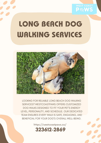 Long Beach dog walking services.jpg