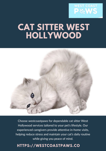 cat sitter West Hollywood.jpg