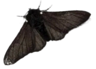 1000012545.png