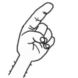 IMG 3801.png
