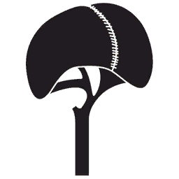 IMG 8634.png