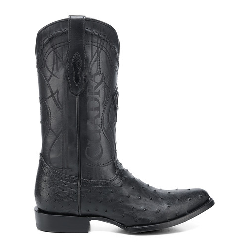 2C1NA1 avestruz negro bota 02 01.jpg