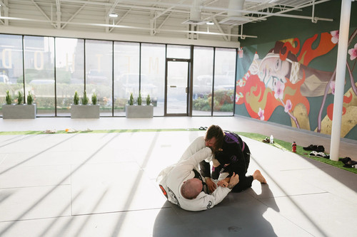 adult bjj.jpg
