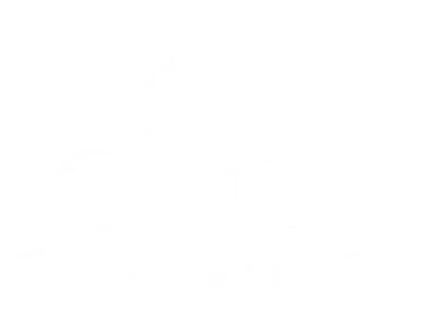1 (6).webp
