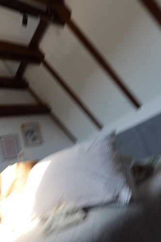 IMG 6630.jpg