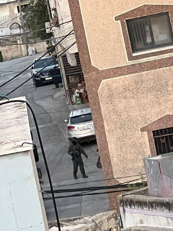 صورة الخبر