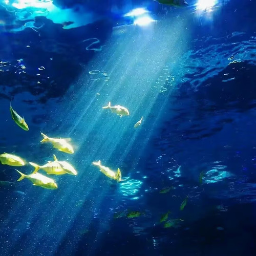 F8F7B24A7E4FF486B4781CFF7DD4E858.jpg