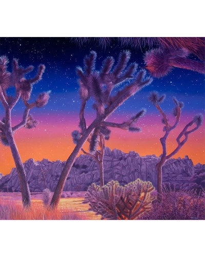 Joshua Tree 6a3933ee6e6b0 700 bordered.jpg
