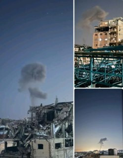 صورة الخبر
