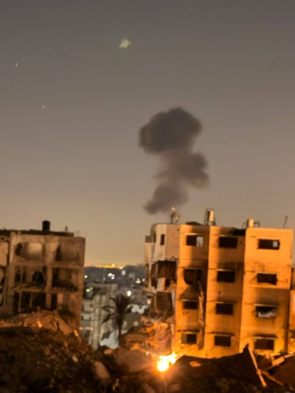 صورة الخبر