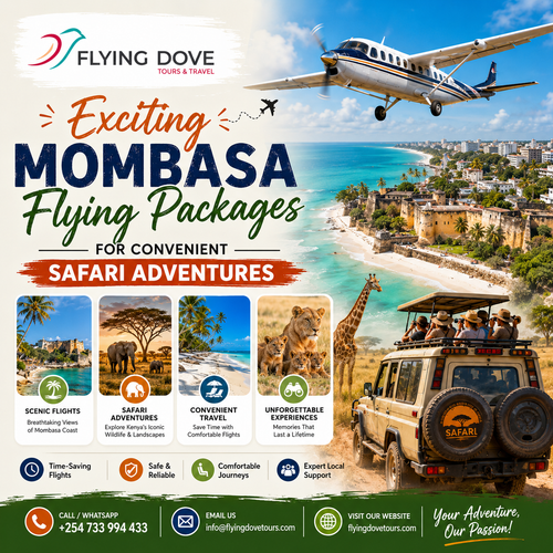 Exciting Mombasa Flying Packages for Convenient Safari Adventures.png