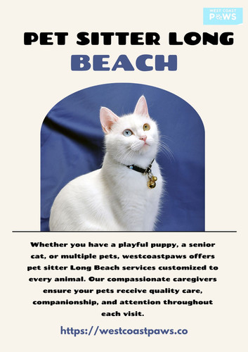 Pet Sitter Long Beach.jpg