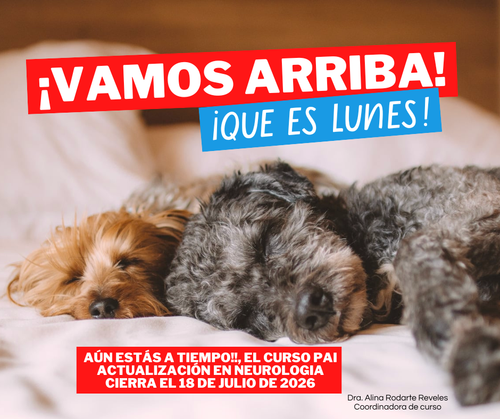 RECORDATORIO LUNES CES AN I3 26.png
