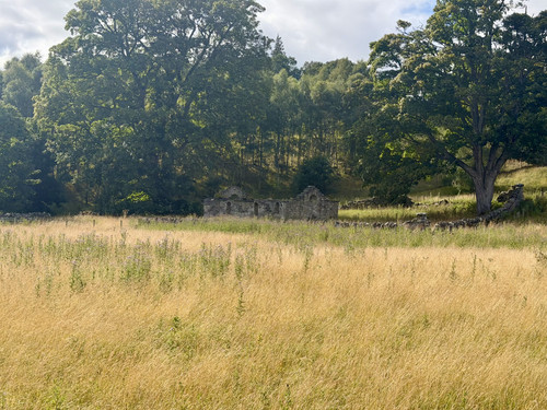 IMG 3921.jpg