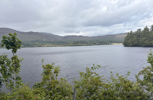 IMG 3927.jpg