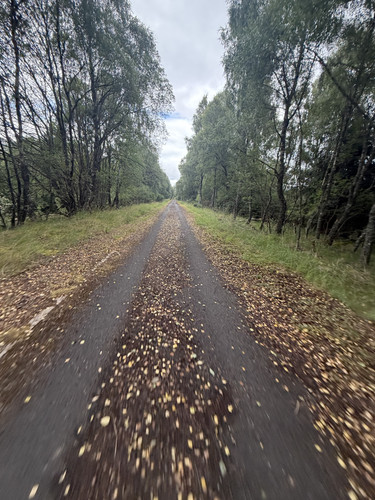 IMG 3915.jpg