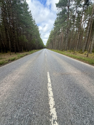 IMG 3924.jpg