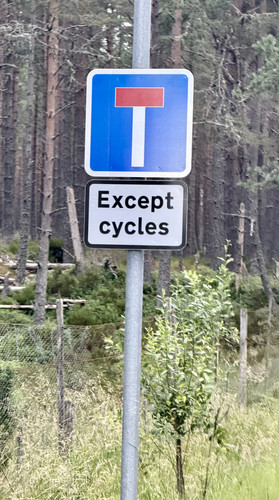 IMG 3935.jpg