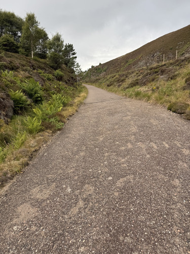 IMG 3936.jpg