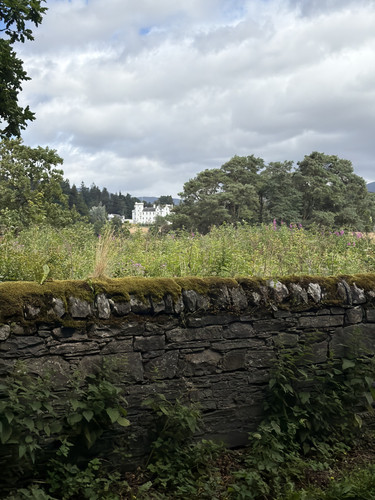 IMG 3898.jpg