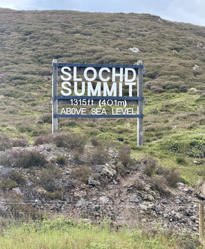 IMG 3937.jpg