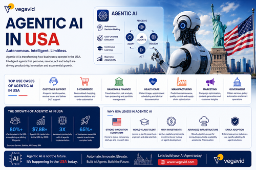 Agentic AI in USA: Market Growth, Use Cases & Adoption Trends 2026.png