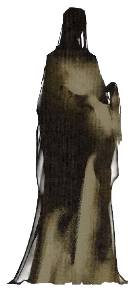 ed0fb7fce262ee62306ab68359b93f7b.jpg