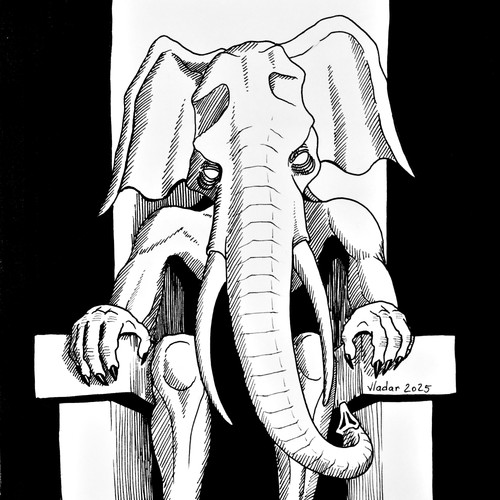 2025 14 trunk.jpg