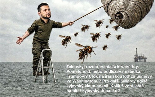 zel vosy.jpg