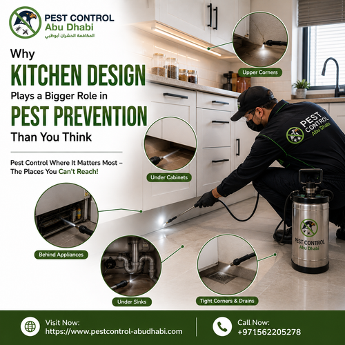 Why Kitchen Design Plays a Bigger Role in Pest Prevention Than You Think.png