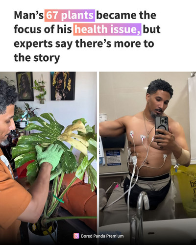 news plants 3.jpg