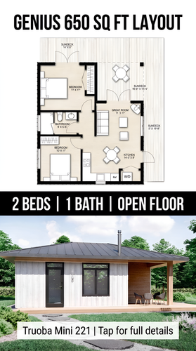 Genius 650 sq ft layout 202607310514 x4.png