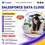 Salesforce Data Cloud Training Hyderabad | Online Classes