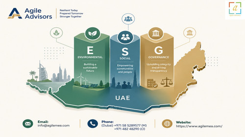 ESG and sustainability reporting.jpg
