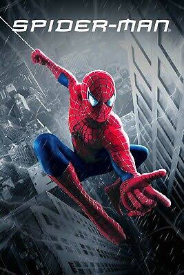 spider.jpg