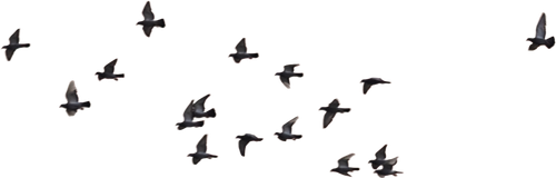 1000071937.png