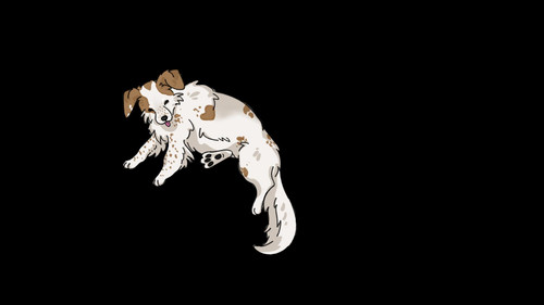 laika.jpg