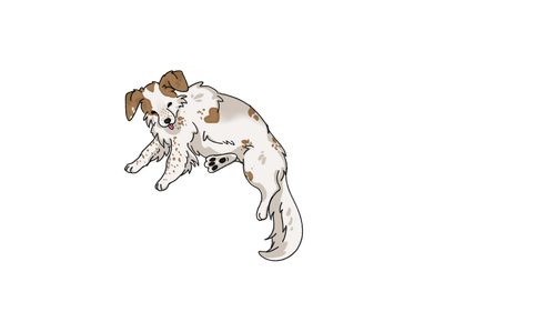 laika1.png