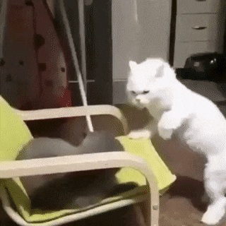 CUFS90x.gif