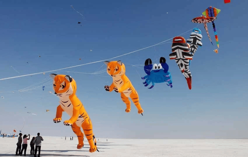 Rann-Utsav-Kite-Festival-2027-Date-Events-Travel-Guide.png