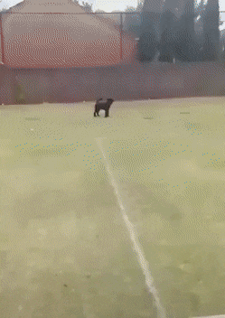 CUKZgGp.gif