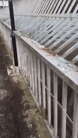 CUKhbwb.gif