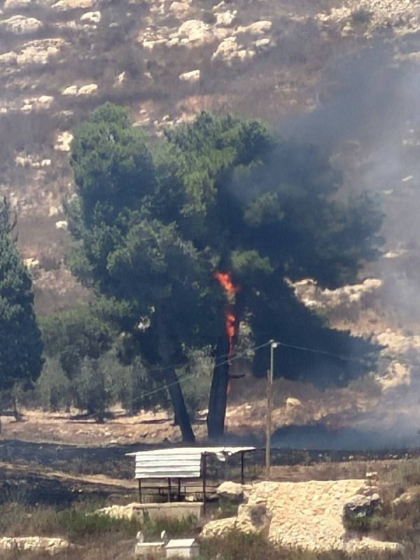 صورة | المستوطنون يشعلون النيران بالشجر القريب من المقبرة الشمالية لقرية برقة في شارع نابلس جنين...