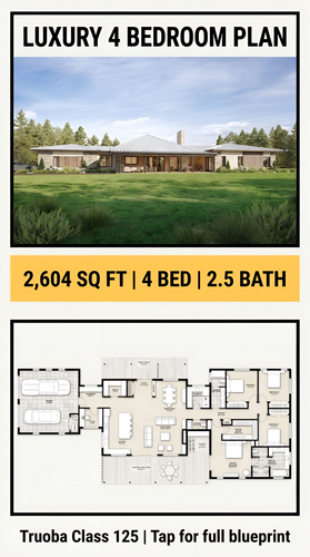Neubrutalism graphic luxury plan 202607300859 x4.png