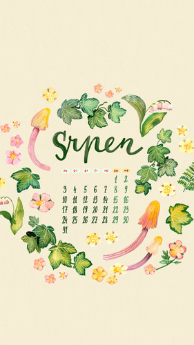 tapeta srpen stories 2