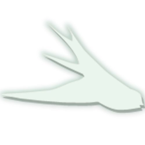 4.png