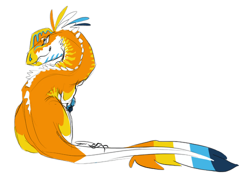 IMG 1239.png