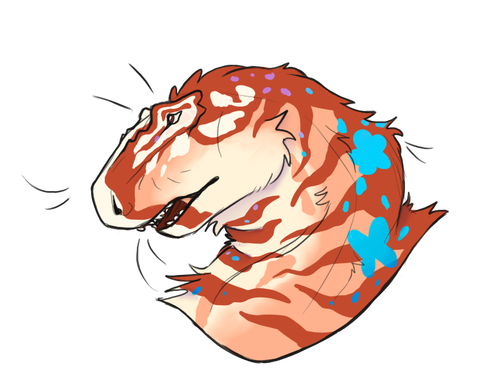 IMG 1238.png