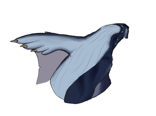 IMG 1244.png